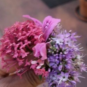 Meet your Posher, Isa